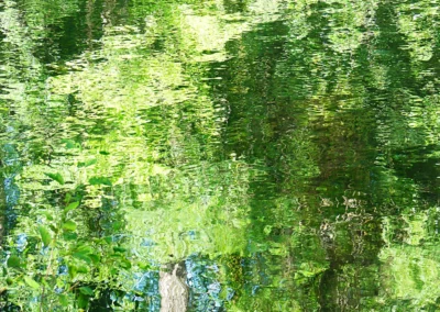 Maguelone Venzac Photographies - Reflets 4