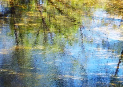 Maguelone Venzac Photographies - Reflets 15