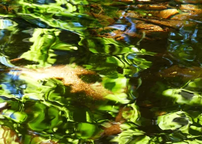 Maguelone Venzac Photographies - Reflets 16