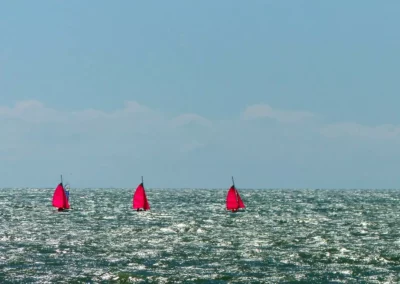 Maguelone Venzac Photographies - Voiles roses